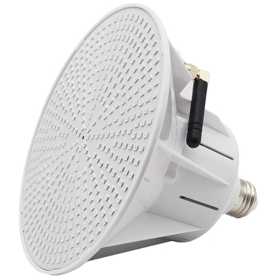 kupować AC/DC 12V/24V IP68 Oświetlenie basenowe LED online manufacture